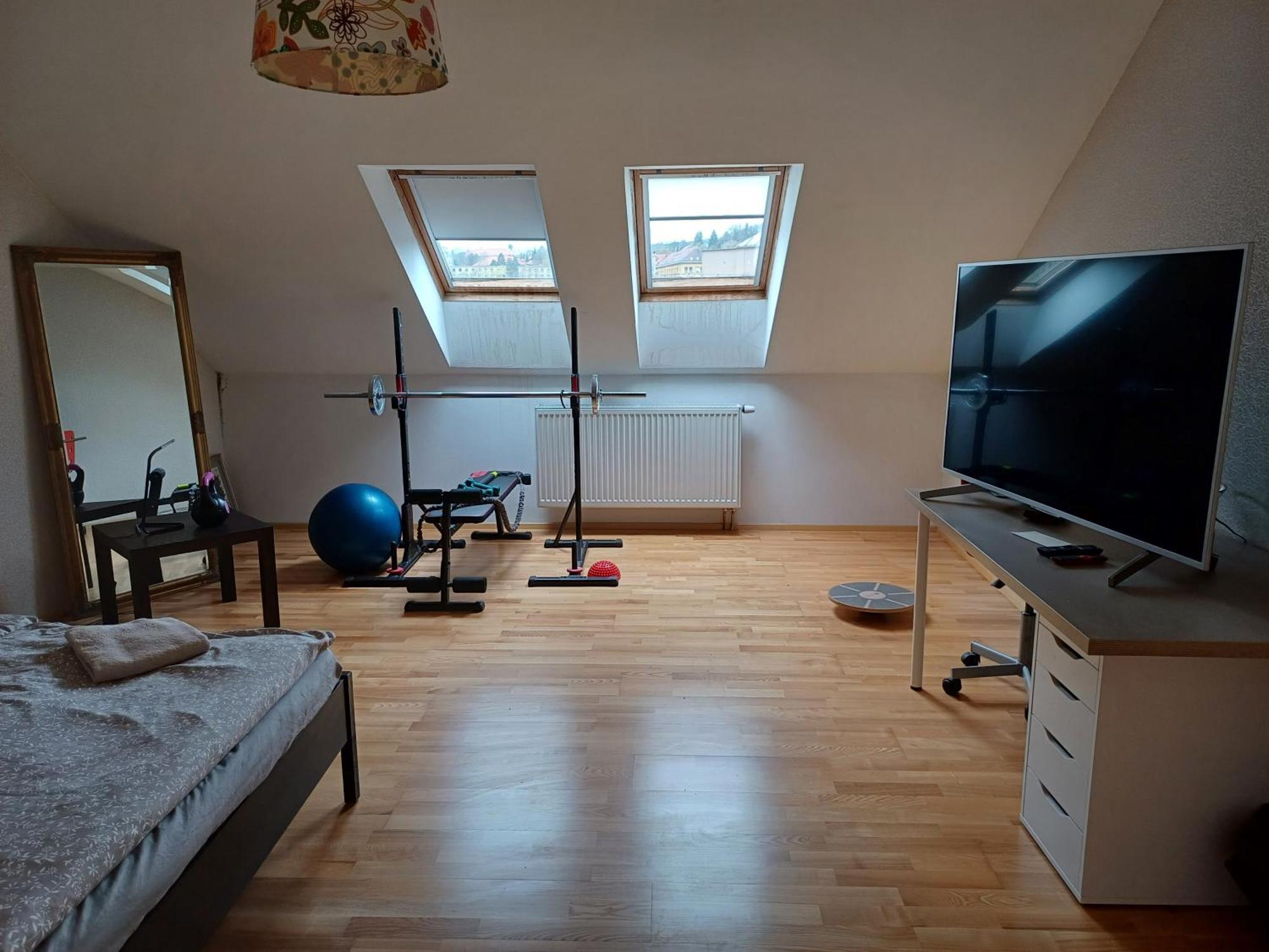 Apartman Dvorak 194 Pod Svatou Horou Pribram Exterior photo